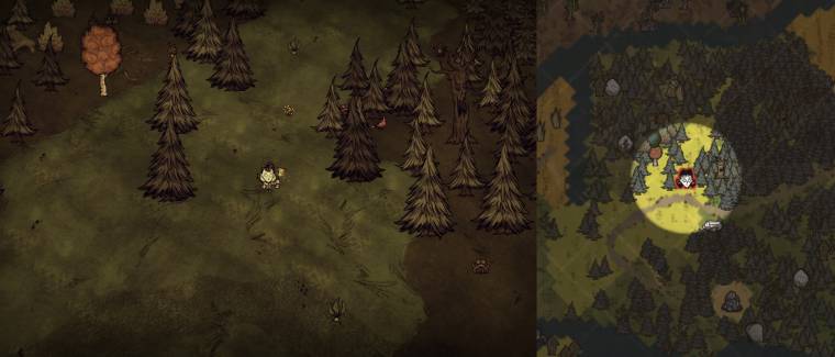 Mandrake Forest