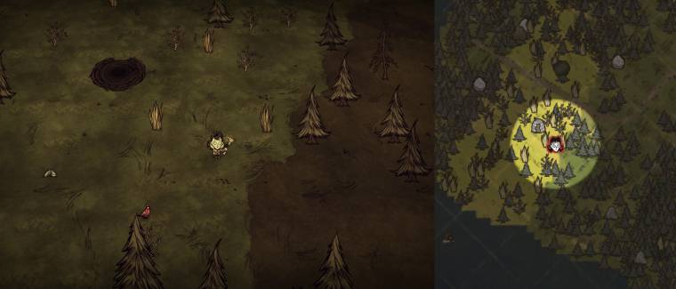 Mactusk Forest