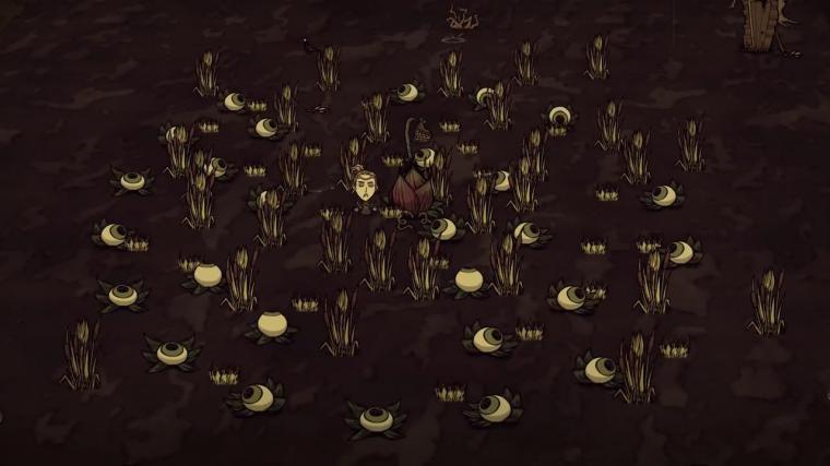 Crop Farms