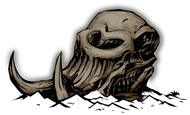 Sun-Bleached Skull